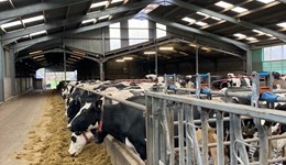 Ayrshire: Low Ballees - Strategic Dairy Farm Launch